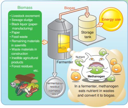 Biomass gasification process - Biogas generated through fermentation of biomass can be used as a fuel for boilers, gas engines, and other applications with Fuji Electric.