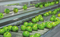 Slicers, mixers, confectionery machines, fruit sorters Slicers, mixers, confectionery machines, fruit sorters